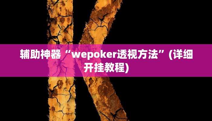 辅助神器“wepoker透视方法”(详细开挂教程)
