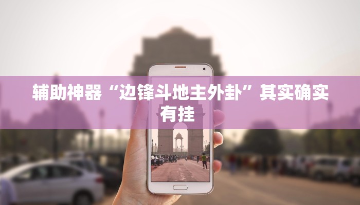 辅助神器“边锋斗地主外卦”其实确实有挂 