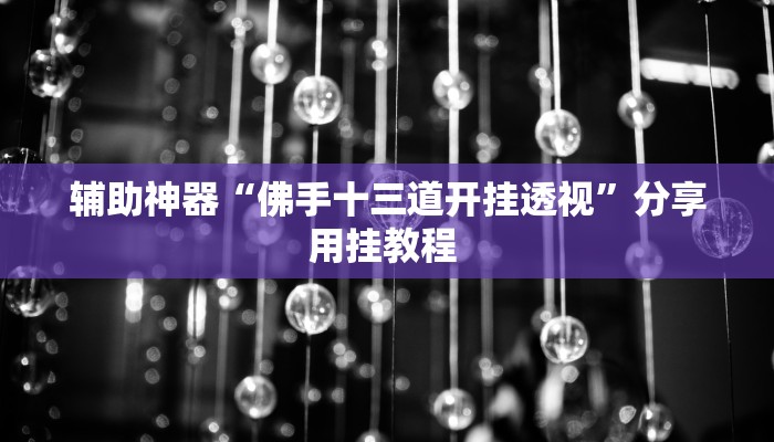 辅助神器“佛手十三道开挂透视”分享用挂教程 
