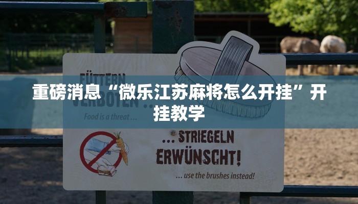 重磅消息“微乐江苏麻将怎么开挂”开挂教学
