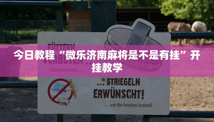 今日教程“微乐济南麻将是不是有挂”开挂教学