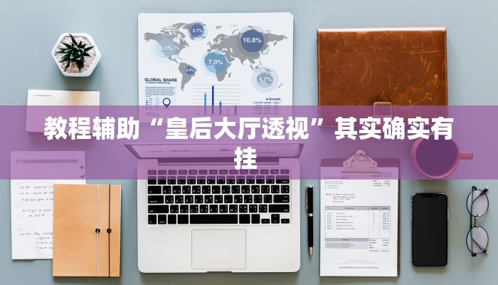 教程辅助“皇后大厅透视”其实确实有挂 