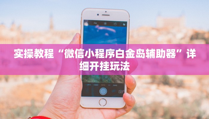 实操教程“微信小程序白金岛辅助器”详细开挂玩法