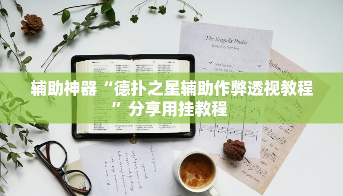 辅助神器“德扑之星辅助作弊透视教程”分享用挂教程 