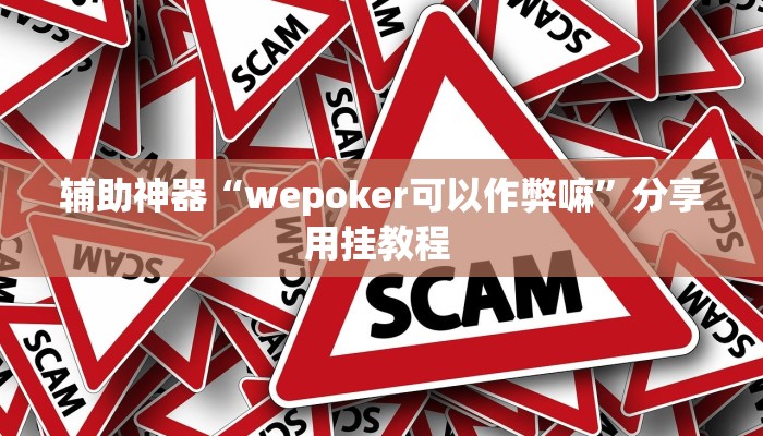 辅助神器“wepoker可以作弊嘛”分享用挂教程 