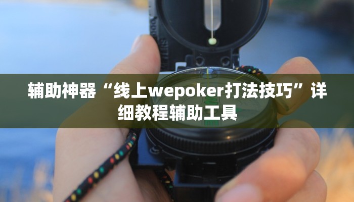 辅助神器“线上wepoker打法技巧”详细教程辅助工具