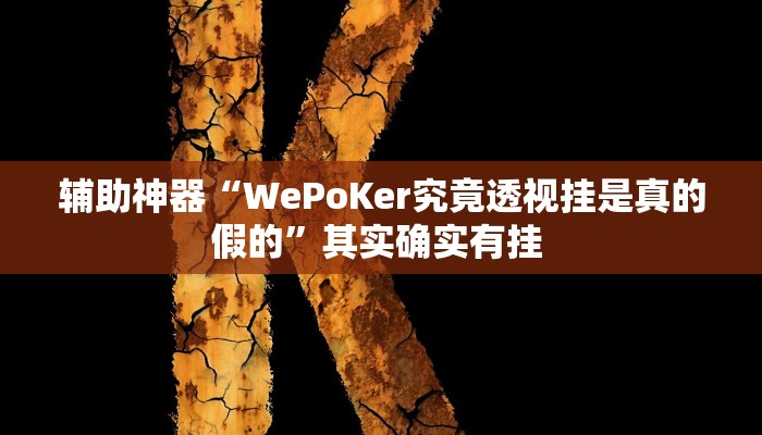辅助神器“WePoKer究竟透视挂是真的假的”其实确实有挂 