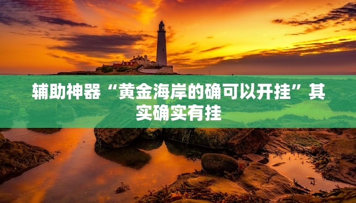辅助神器“黄金海岸的确可以开挂”其实确实有挂