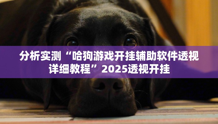 分析实测“哈狗游戏开挂辅助软件透视详细教程”2025透视开挂