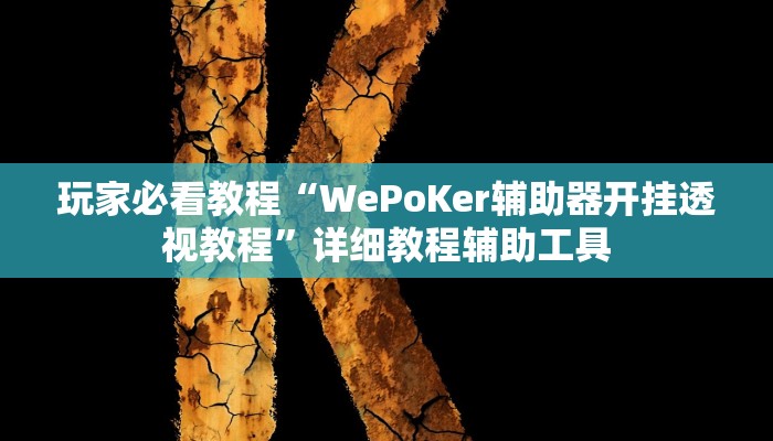 玩家必看教程“WePoKer辅助器开挂透视教程”详细教程辅助工具