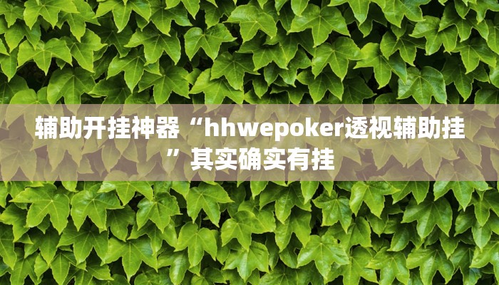 辅助开挂神器“hhwepoker透视辅助挂”其实确实有挂 辅助开挂神器“hhwepoker透视辅助挂”其实确实有挂