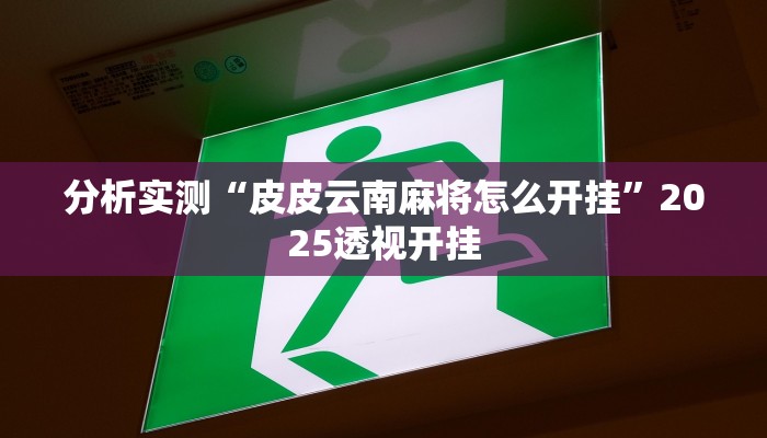 分析实测“皮皮云南麻将怎么开挂”2025透视开挂