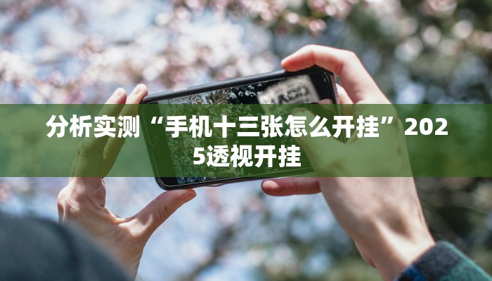 分析实测“手机十三张怎么开挂”2025透视开挂