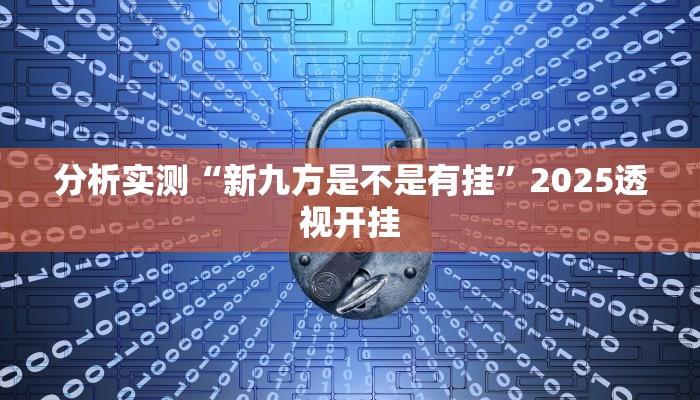 分析实测“新九方是不是有挂”2025透视开挂