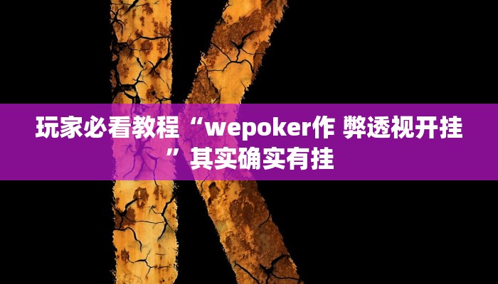 玩家必看教程“wepoker作 弊透视开挂”其实确实有挂