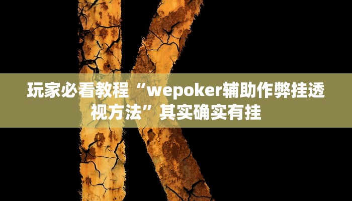 玩家必看教程“wepoker辅助作弊挂透视方法”其实确实有挂