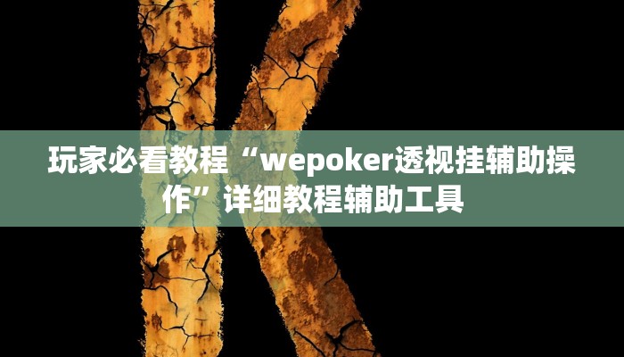 玩家必看教程“wepoker透视挂辅助操作”详细教程辅助工具