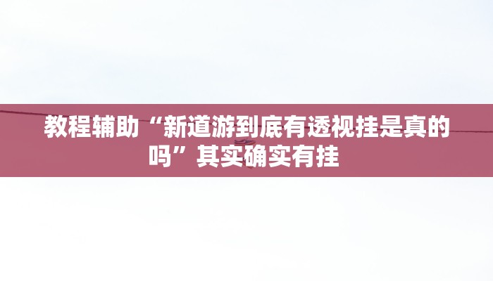 教程辅助“新道游到底有透视挂是真的吗”其实确实有挂 