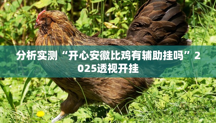 分析实测“开心安徽比鸡有辅助挂吗”2025透视开挂