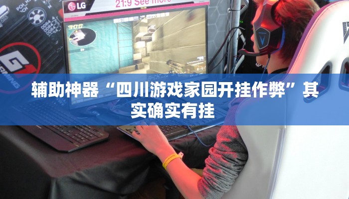 辅助神器“四川游戏家园开挂作弊”其实确实有挂 