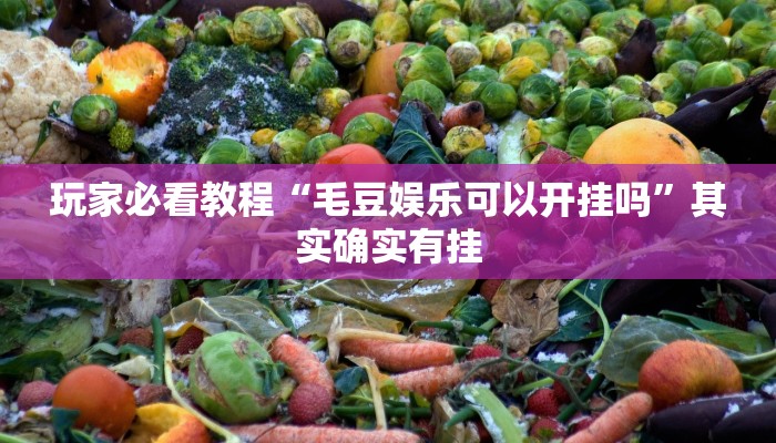 玩家必看教程“毛豆娱乐可以开挂吗”其实确实有挂