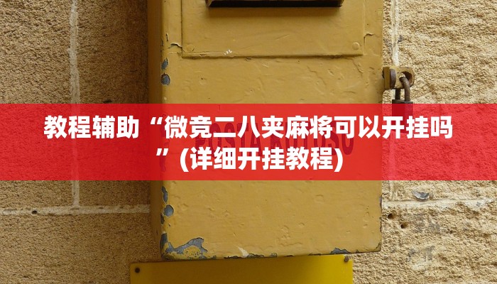 教程辅助“微竞二八夹麻将可以开挂吗”(详细开挂教程)