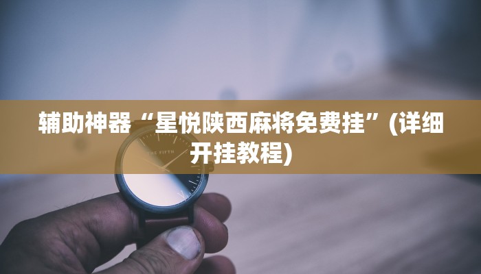 辅助神器“星悦陕西麻将免费挂”(详细开挂教程) 辅助神器“星悦陕西麻将免费挂”(详细开挂教程)