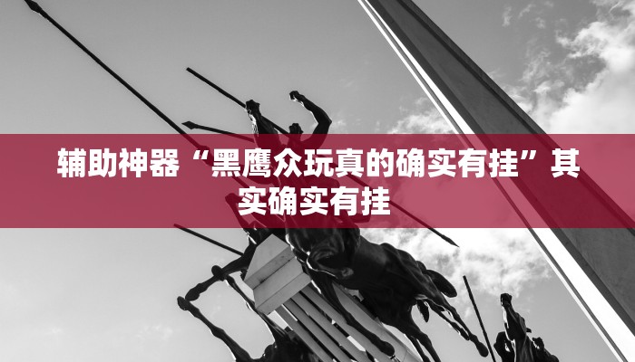 辅助神器“黑鹰众玩真的确实有挂”其实确实有挂 