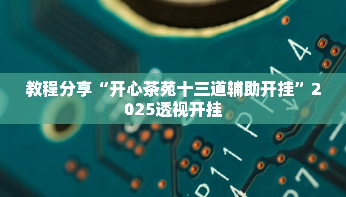 教程分享“开心茶苑十三道辅助开挂”2025透视开挂
