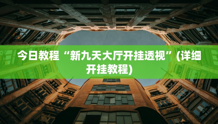 今日教程“新九天大厅开挂透视”(详细开挂教程)