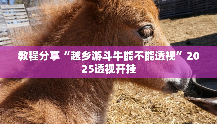 教程分享“越乡游斗牛能不能透视”2025透视开挂