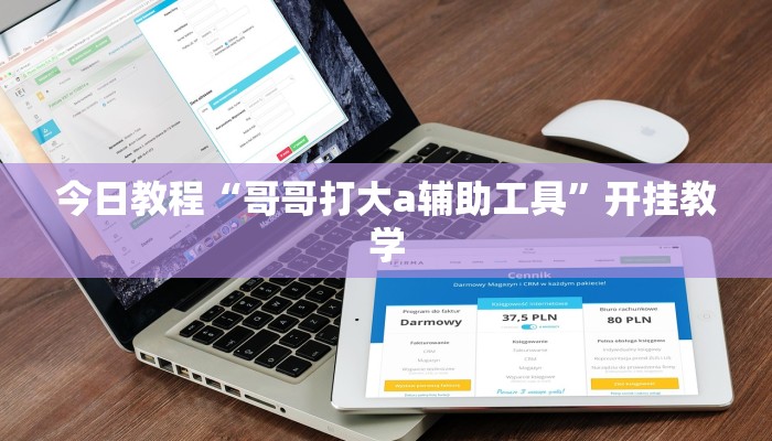 今日教程“哥哥打大a辅助工具”开挂教学