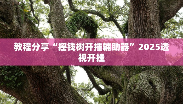 教程分享“摇钱树开挂辅助器”2025透视开挂