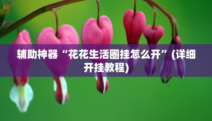 辅助神器“花花生活圈挂怎么开”(详细开挂教程) 辅助神器“花花生活圈挂怎么开”(详细开挂教程)