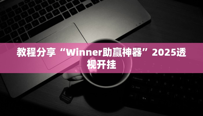 教程分享“Winner助赢神器”2025透视开挂