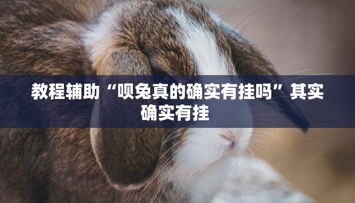 教程辅助“呗兔真的确实有挂吗”其实确实有挂 