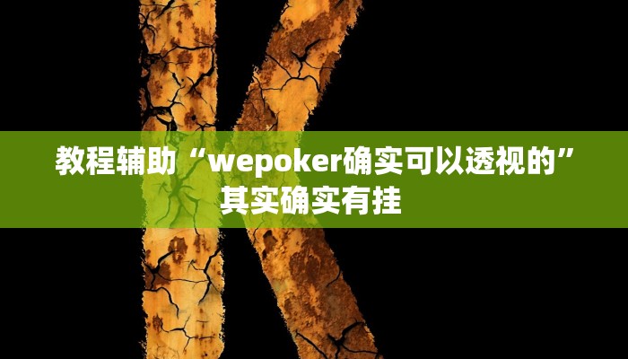 教程辅助“wepoker确实可以透视的”其实确实有挂 