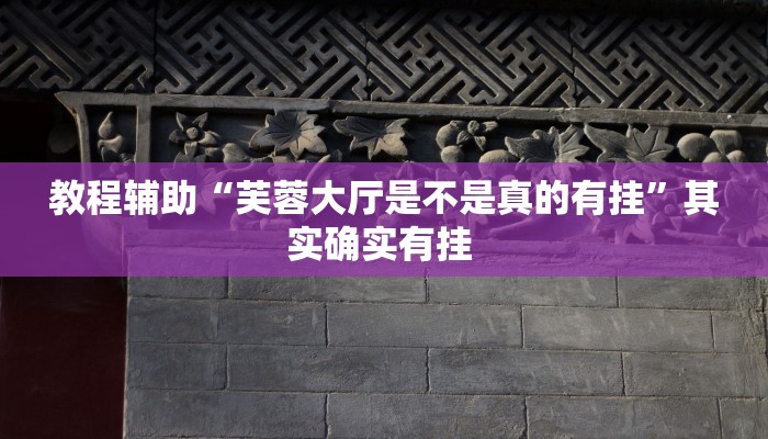 教程辅助“芙蓉大厅是不是真的有挂”其实确实有挂 