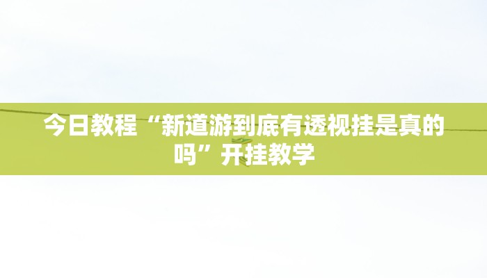 今日教程“新道游到底有透视挂是真的吗”开挂教学