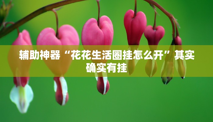 辅助神器“花花生活圈挂怎么开”其实确实有挂 辅助神器“花花生活圈挂怎么开”其实确实有挂