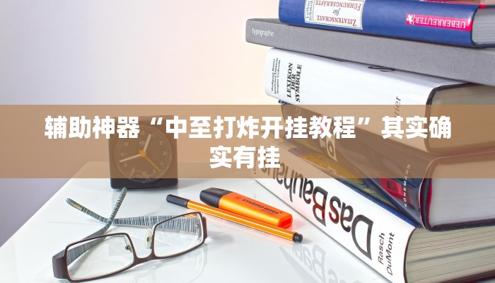 辅助神器“中至打炸开挂教程”其实确实有挂 