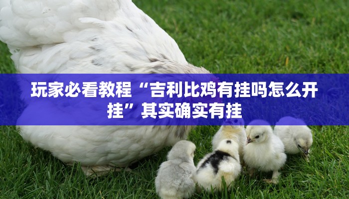 玩家必看教程“吉利比鸡有挂吗怎么开挂”其实确实有挂 玩家必看教程“吉利比鸡有挂吗怎么开挂”其实确实有挂