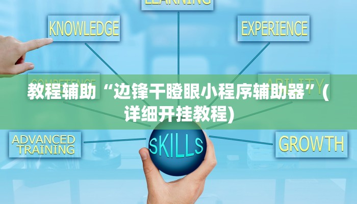 教程辅助“边锋干瞪眼小程序辅助器”(详细开挂教程)