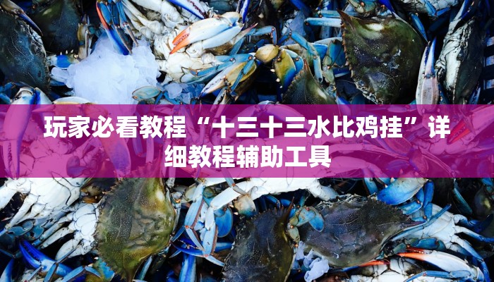 玩家必看教程“十三十三水比鸡挂”详细教程辅助工具