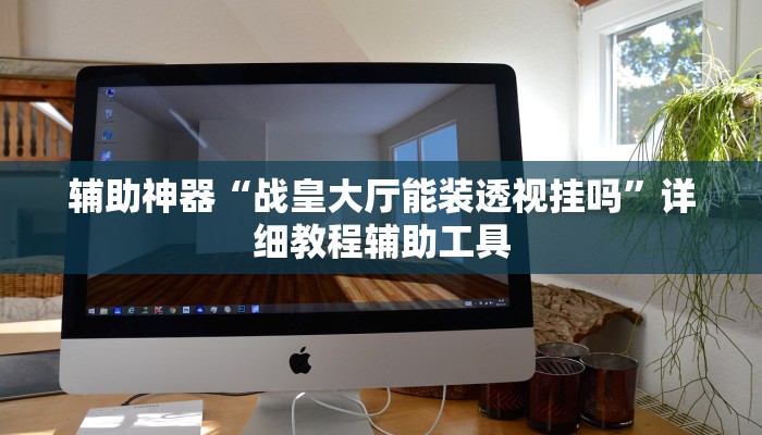 辅助神器“战皇大厅能装透视挂吗”详细教程辅助工具