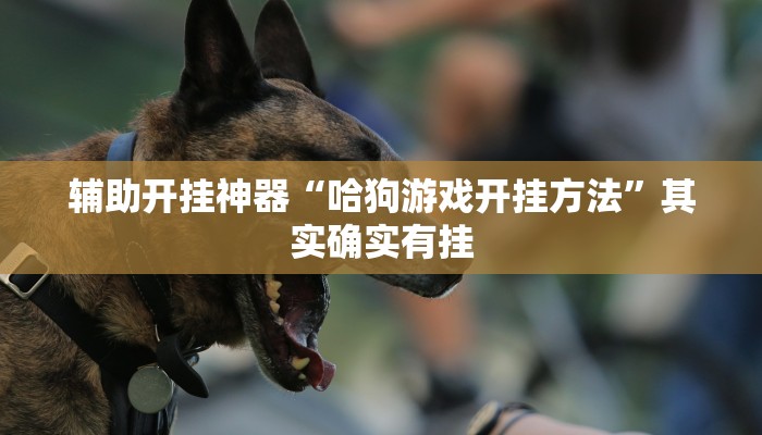 辅助开挂神器“哈狗游戏开挂方法”其实确实有挂 辅助开挂神器“哈狗游戏开挂方法”其实确实有挂