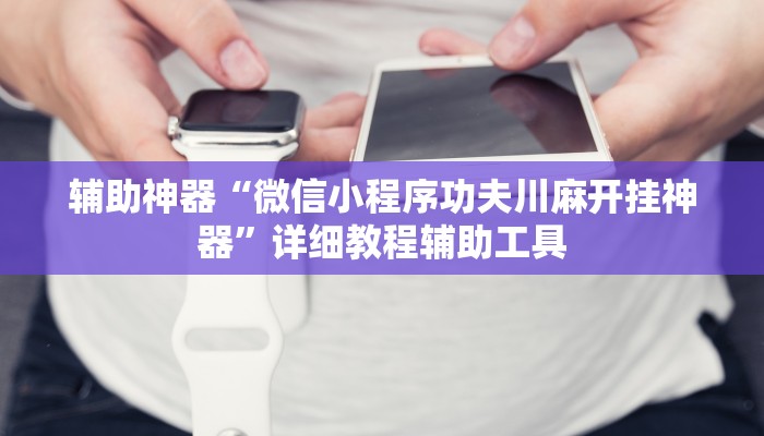 辅助神器“微信小程序功夫川麻开挂神器”详细教程辅助工具