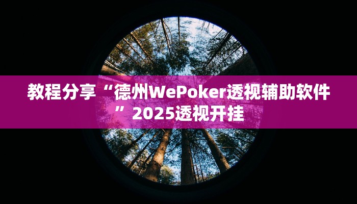 教程分享“德州WePoker透视辅助软件”2025透视开挂
