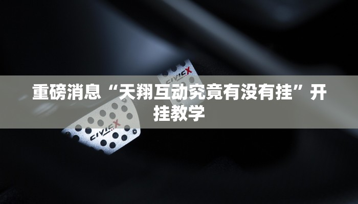 重磅消息“天翔互动究竟有没有挂”开挂教学
