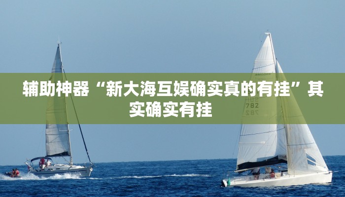 辅助神器“新大海互娱确实真的有挂”其实确实有挂 辅助神器“新大海互娱确实真的有挂”其实确实有挂